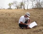 Consultor ambiental